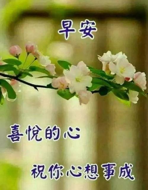 放弃爱情的图片,告别过去，拥抱未来