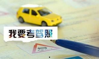 考驾照的照片